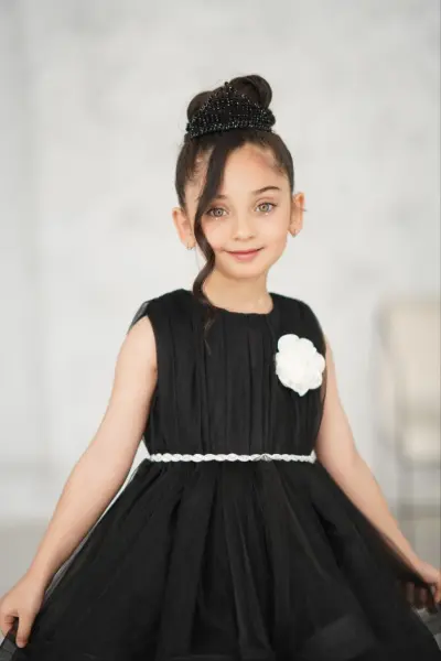 مجلسی کد:2453/2